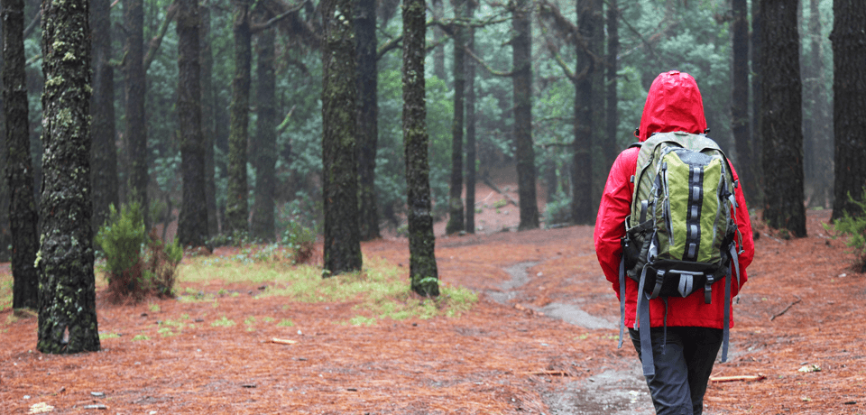 女人走在Woods穿红夹克